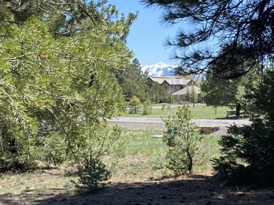 Golf Course Lot For Sale, Log Hill, Ridgway, Colorado - image 1