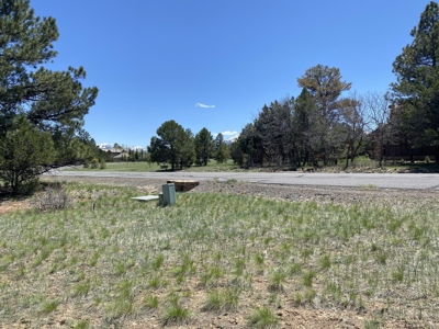 Golf Course Lot For Sale, Log Hill, Ridgway, Colorado - image 3