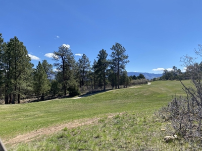 Golf Course Lot For Sale, Log Hill, Ridgway, Colorado - image 5