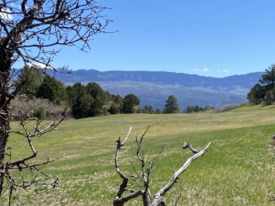 Golf Course Lot For Sale, Log Hill, Ridgway, Colorado - image 6