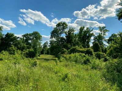 Riverfront Hunting Land for Sale, Port Gibson, MS - image 23