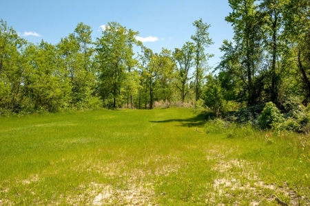 Riverfront Hunting Land for Sale, Port Gibson, MS - image 10
