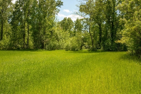 Riverfront Hunting Land for Sale, Port Gibson, MS - image 6