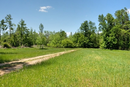 Riverfront Hunting Land for Sale, Port Gibson, MS - image 18