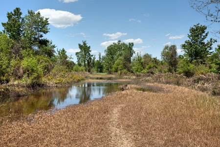 Riverfront Hunting Land for Sale, Port Gibson, MS - image 14