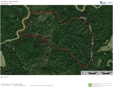 Riverfront Hunting Land for Sale, Port Gibson, MS - image 25