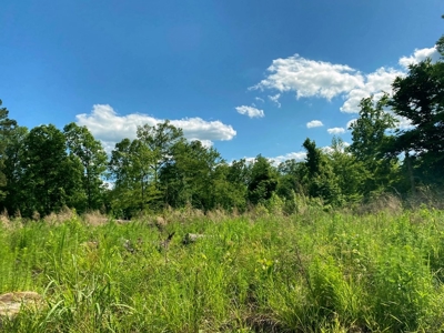 Riverfront Hunting Land for Sale, Port Gibson, MS - image 20