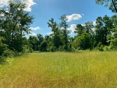 Riverfront Hunting Land for Sale, Port Gibson, MS - image 22