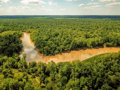 Riverfront Hunting Land for Sale, Port Gibson, MS - image 1