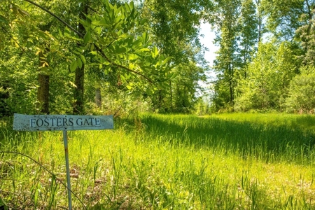 Riverfront Hunting Land for Sale, Port Gibson, MS - image 9