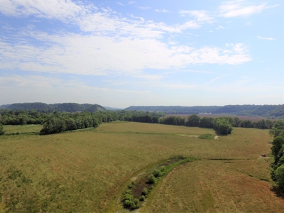 Crop Land - River Bottom - Secluded - Hunting - Liberty, Ky. - image 1