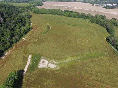 Crop Land - River Bottom - Secluded - Hunting - Liberty, Ky. - image 7