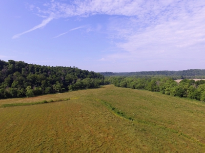 Crop Land - River Bottom - Secluded - Hunting - Liberty, Ky. - image 3