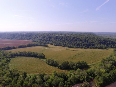 Crop Land - River Bottom - Secluded - Hunting - Liberty, Ky. - image 9