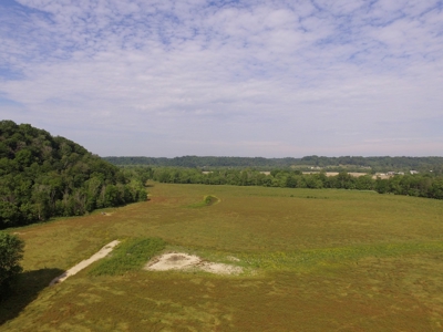 Crop Land - River Bottom - Secluded - Hunting - Liberty, Ky. - image 6