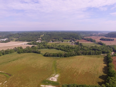 Crop Land - River Bottom - Secluded - Hunting - Liberty, Ky. - image 11