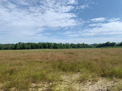 Crop Land - River Bottom - Secluded - Hunting - Liberty, Ky. - image 13