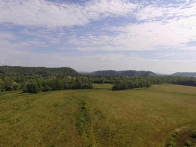 Crop Land - River Bottom - Secluded - Hunting - Liberty, Ky. - image 2