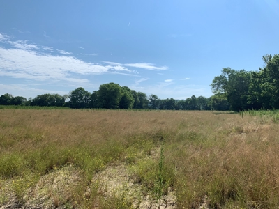 Crop Land - River Bottom - Secluded - Hunting - Liberty, Ky. - image 12