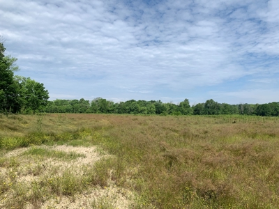 Crop Land - River Bottom - Secluded - Hunting - Liberty, Ky. - image 15