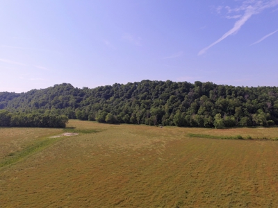 Crop Land - River Bottom - Secluded - Hunting - Liberty, Ky. - image 4
