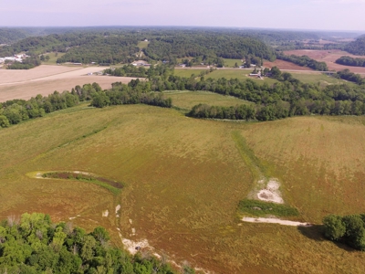 Crop Land - River Bottom - Secluded - Hunting - Liberty, Ky. - image 10