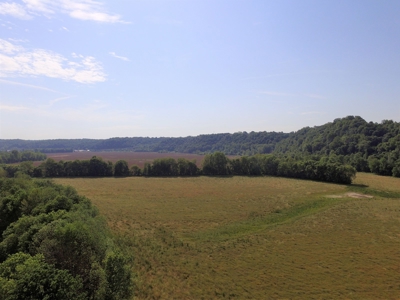 Crop Land - River Bottom - Secluded - Hunting - Liberty, Ky. - image 5