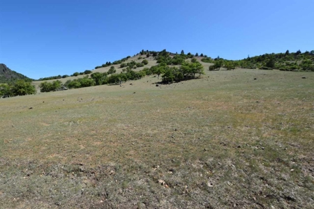 Land for Sale in Hornbrook - image 2