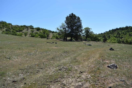 Land for Sale in Hornbrook - image 3
