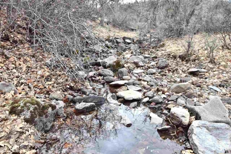 Land for Sale in Hornbrook - image 5