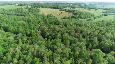 Vacant Land for Farming with Lots of Timber - image 21