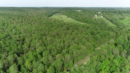 Vacant Land for Farming with Lots of Timber - image 16