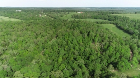 Vacant Land for Farming with Lots of Timber - image 15