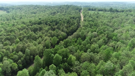 Vacant Land for Farming with Lots of Timber - image 18