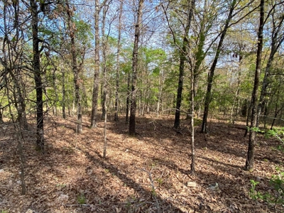 Vacant Land for Farming with Lots of Timber - image 7