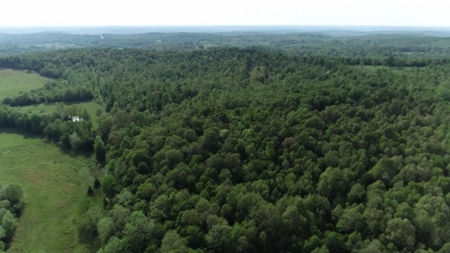 Vacant Land for Farming with Lots of Timber - image 14