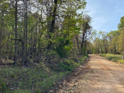 Vacant Land for Farming with Lots of Timber - image 1