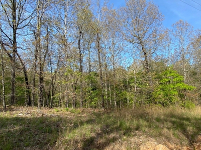 Vacant Land for Farming with Lots of Timber - image 8