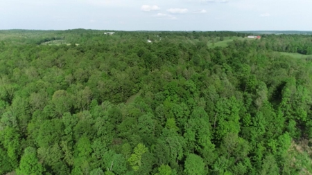 Vacant Land for Farming with Lots of Timber - image 13