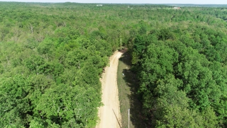 Vacant Land for Farming with Lots of Timber - image 23