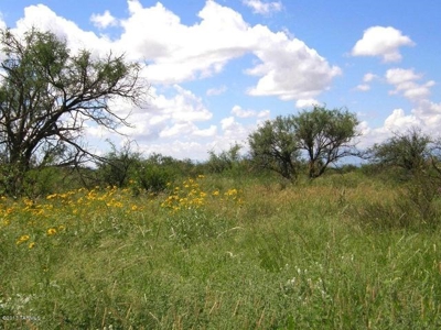 37 acres in Dragoon Mountain Ranch St David AZ - image 5