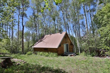 Cabin Near Vega Reservoir for Sale in Colorado - image 2