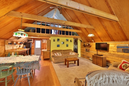 Cabin Near Vega Reservoir for Sale in Colorado - image 5