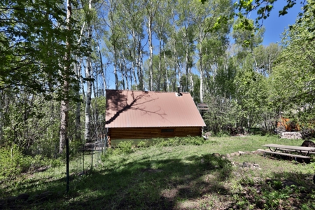 Cabin Near Vega Reservoir for Sale in Colorado - image 1