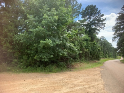 7ac Wooded Lot on Shuler RD for Sale near Parkers Chapel, AR - image 5