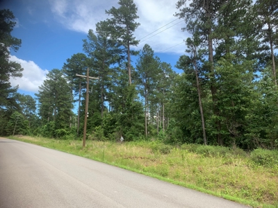 7ac Wooded Lot on Shuler RD for Sale near Parkers Chapel, AR - image 3