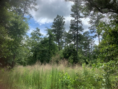 7ac Wooded Lot on Shuler RD for Sale near Parkers Chapel, AR - image 2