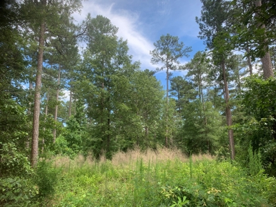 7ac Wooded Lot on Shuler RD for Sale near Parkers Chapel, AR - image 4