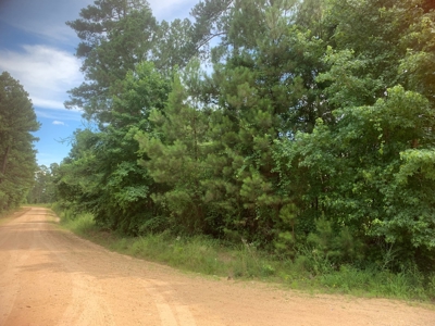 7ac Wooded Lot on Shuler RD for Sale near Parkers Chapel, AR - image 6