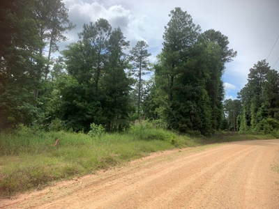 7ac Wooded Lot on Shuler RD for Sale near Parkers Chapel, AR - image 1